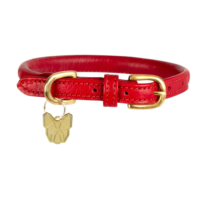 Shires Digby and Fox Rolled Leather Dog Collar - Scarlett